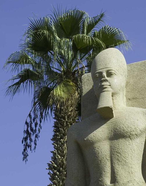 Memphis IMGP5698.jpg